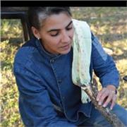 Clases de Gastronomía Peruana presencial u online